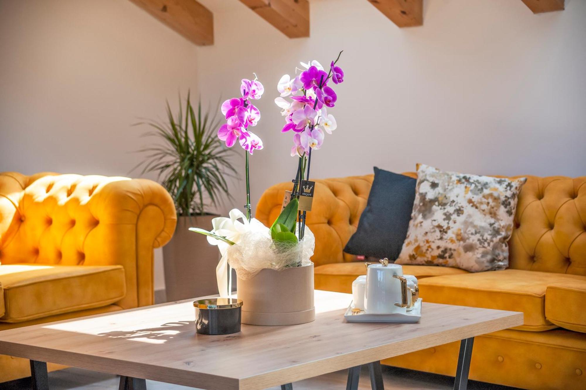Boutique Residence Arion Rovinj Pokój zdjęcie